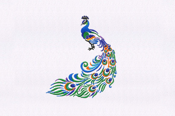 Indian Peacock: A Designer’s Holiday Review